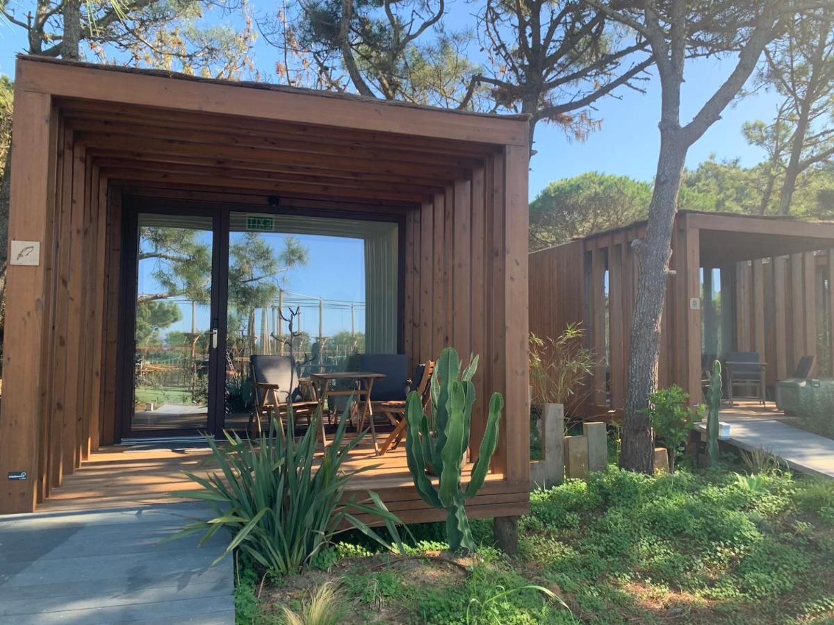 Azen Cool House Bed & Breakfast Azenhas do Mar Bagian luar foto